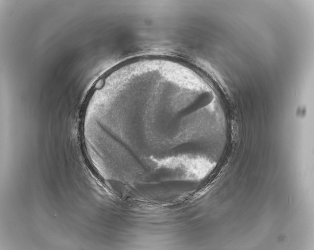 X0000093741260200711131053