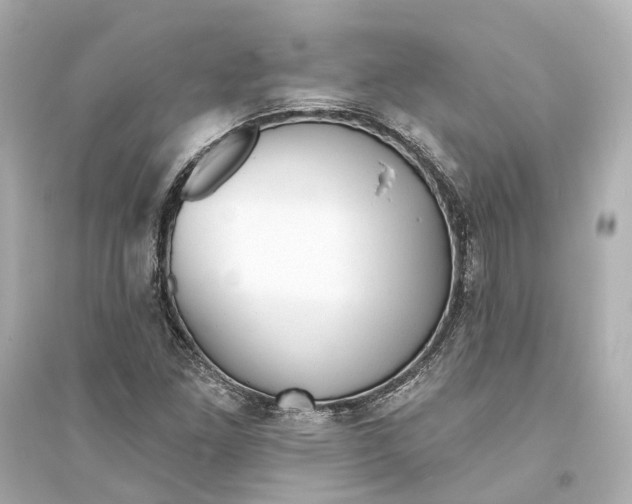 X0000093741261200711131053