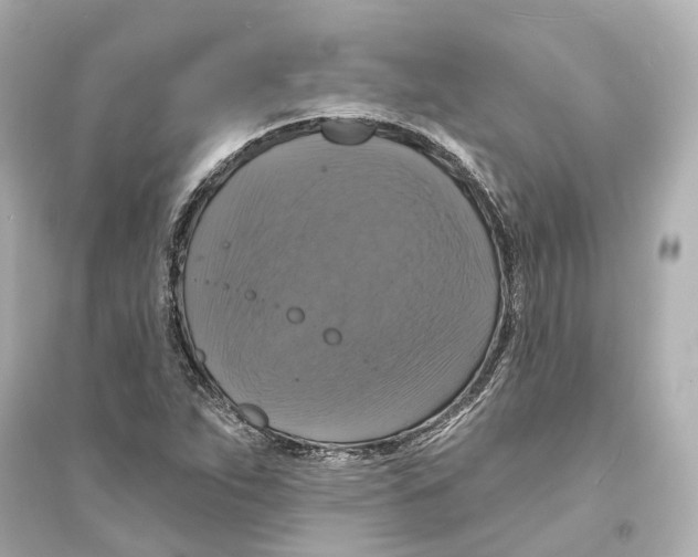 X0000093741263200711131053