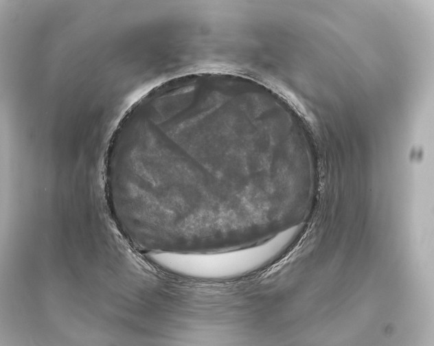 X0000093741264200711131053