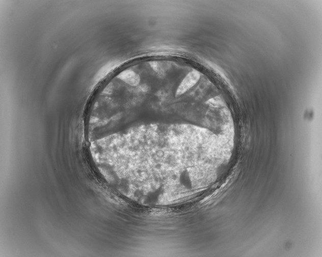 X0000093741267200711131053