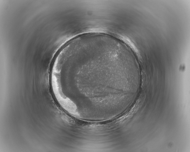 X0000093741268200711131053
