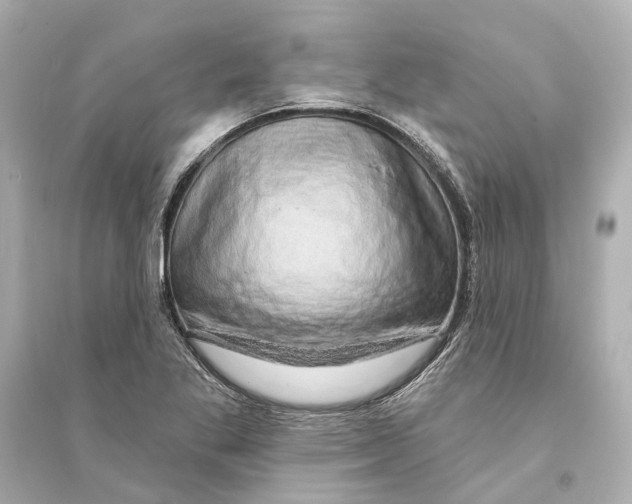 X0000093741269200711131053