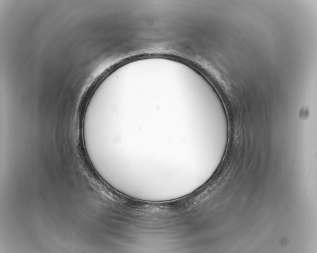 X0000093741270200711131053