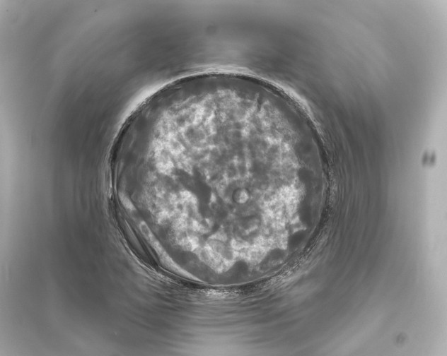 X0000093741271200711131053
