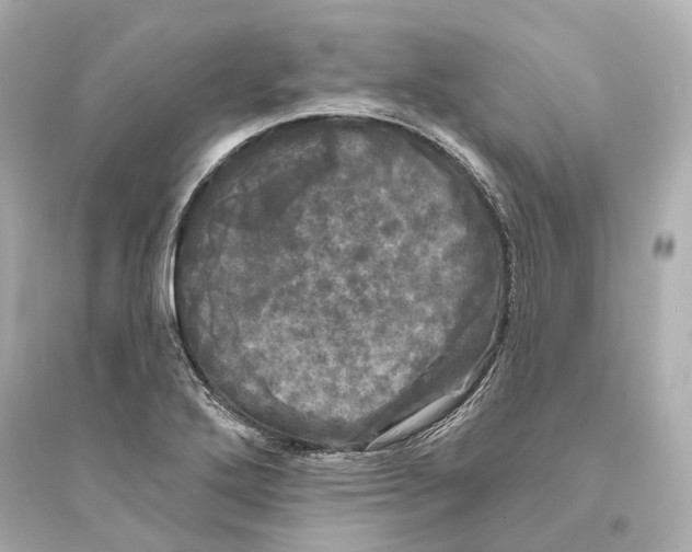 X0000093741272200711131053