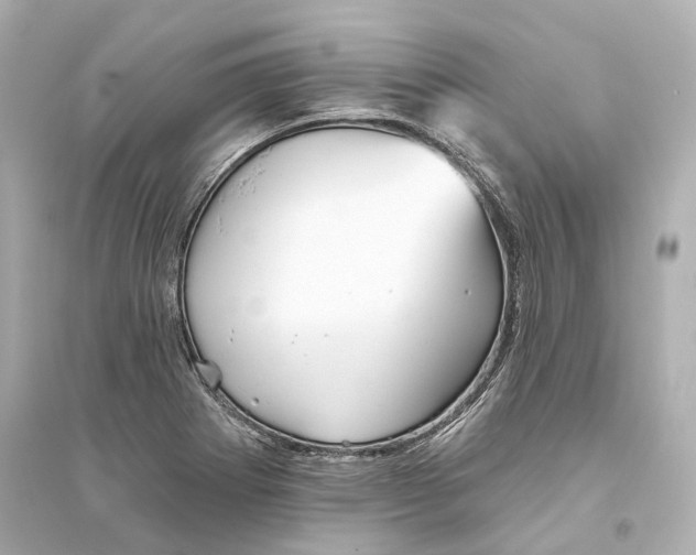 X0000093741273200711131053
