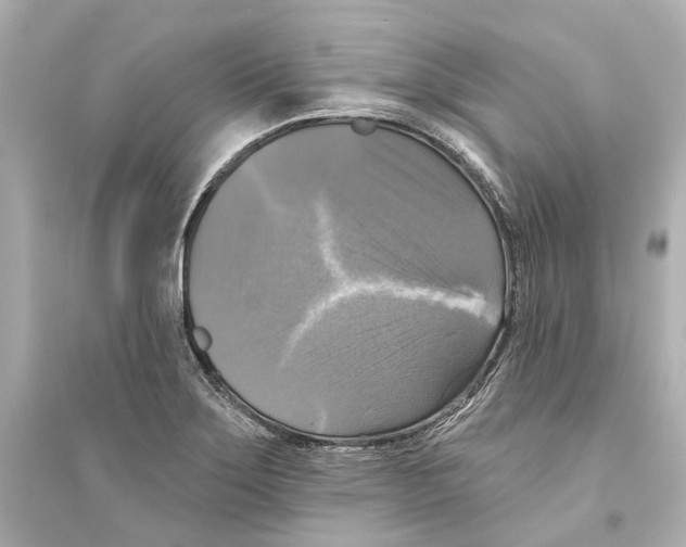 X0000093741275200711131053