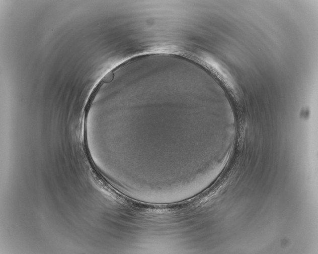 X0000093741276200711131053