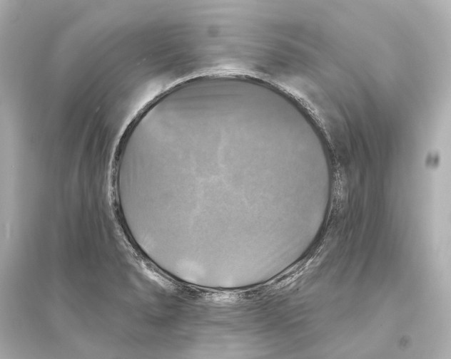 X0000093741278200711131053