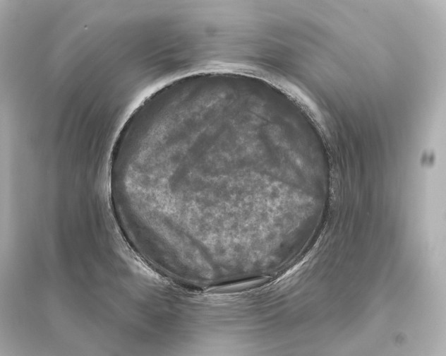 X0000093741280200711131053