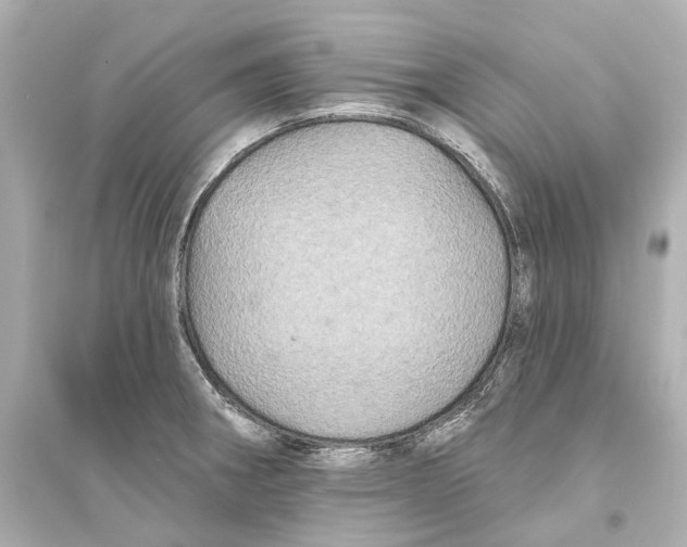 X0000093741282200711131053