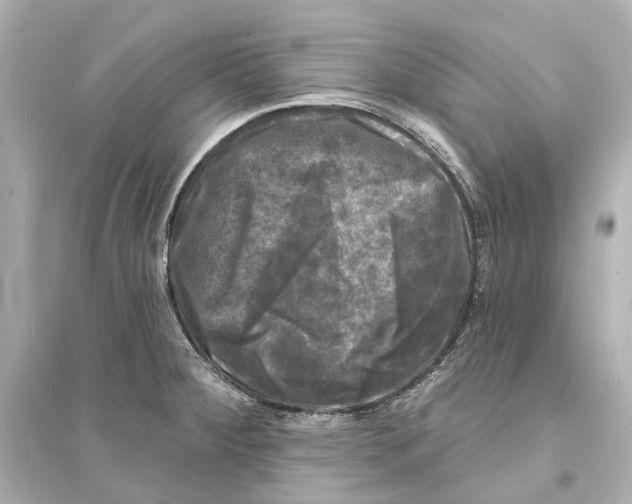 X0000093741284200711131053