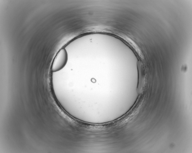 X0000093741285200711131053