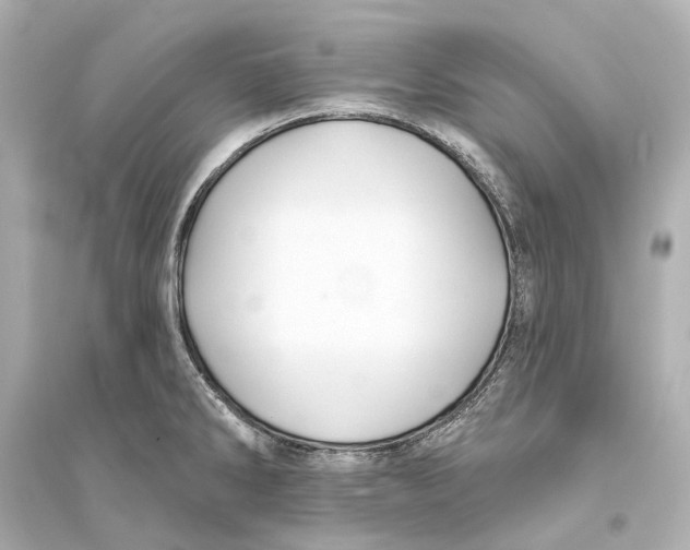 X0000093741286200711131053
