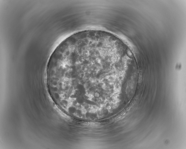 X0000093741287200711131053