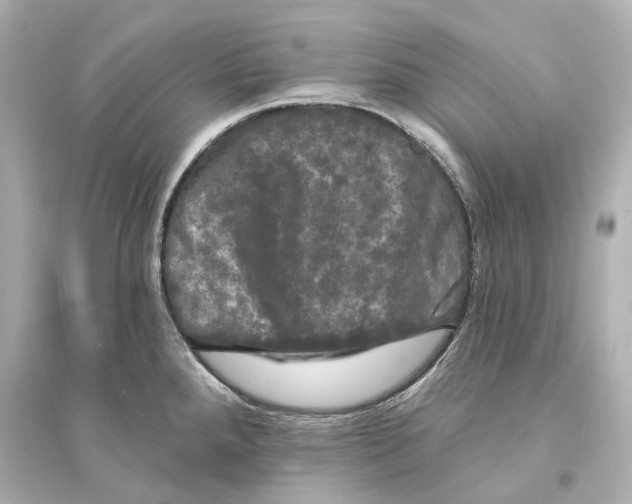 X0000093741288200711131053