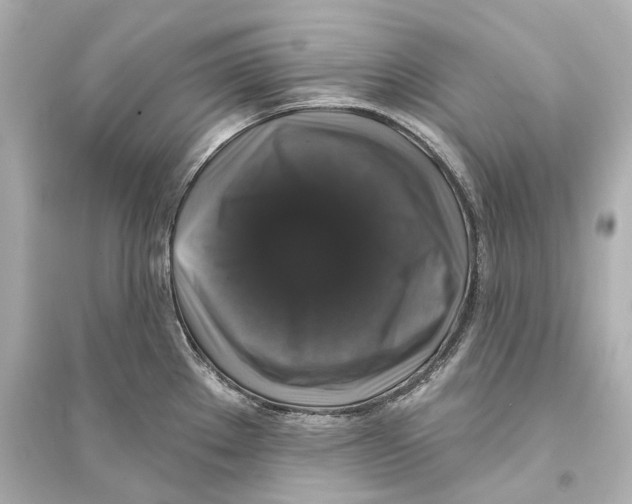 X0000093741289200711131053