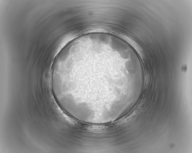 X0000093741290200711131053