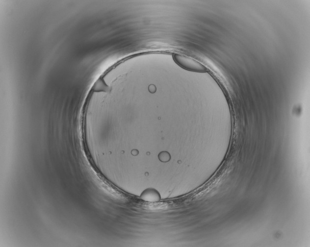 X0000093741291200711131053