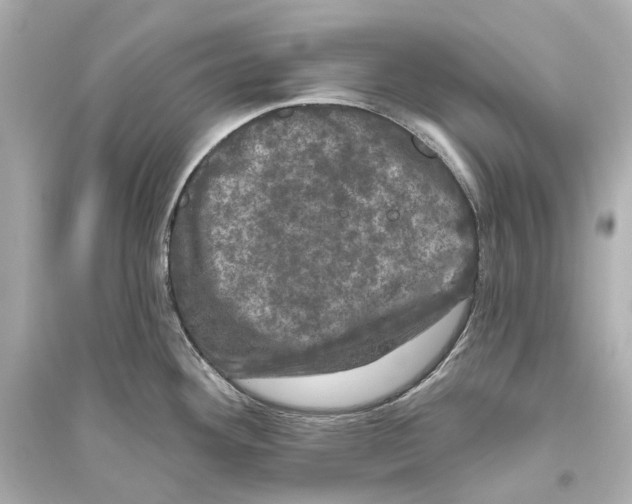 X0000093741292200711131053