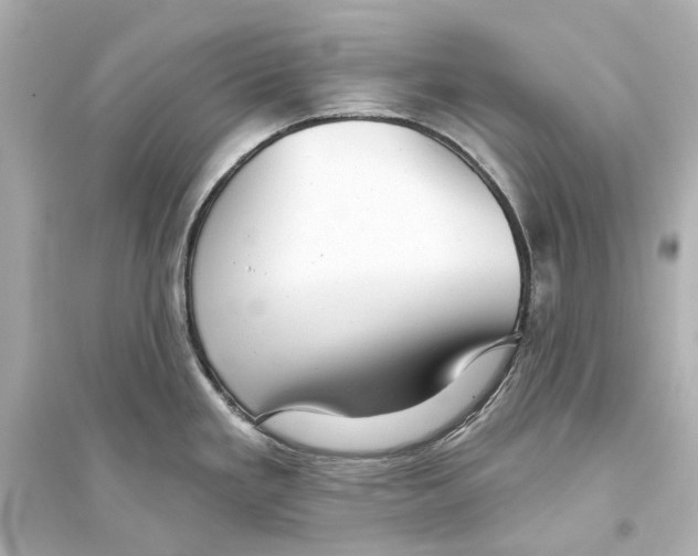 X0000093741293200711131053