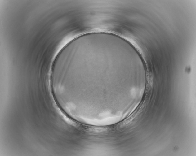 X0000093741294200711131053