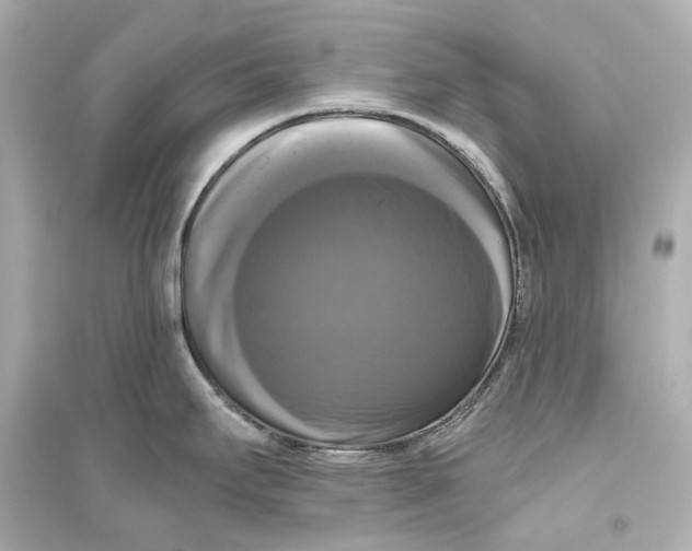 X0000093741295200711131053