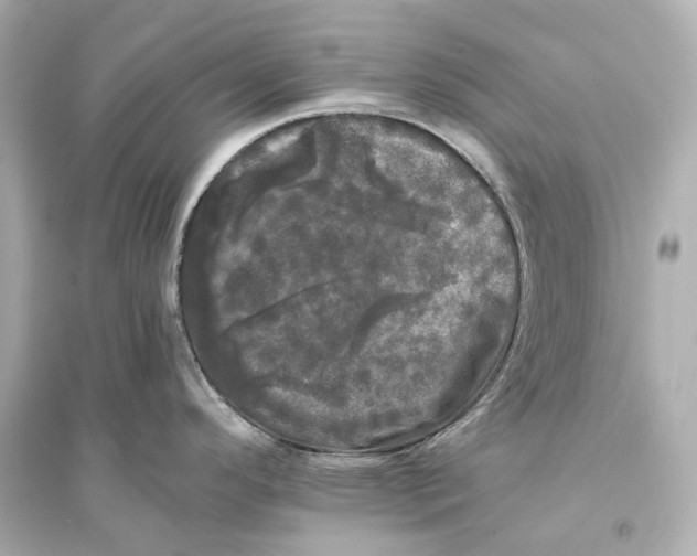 X0000093741296200711131053
