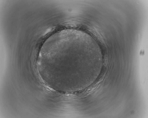 X0000093741297200711131052
