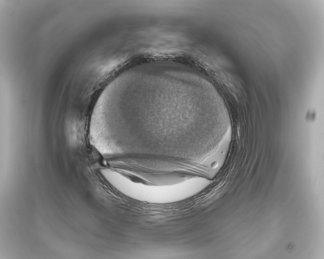 X0000093741300200711131052