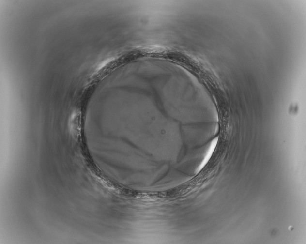 X0000093741301200711131052