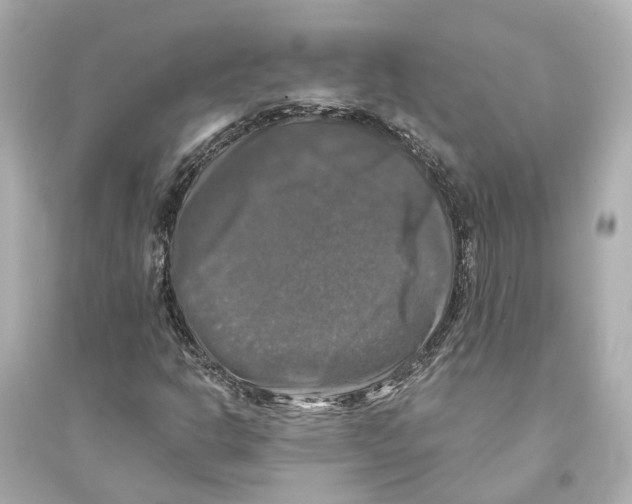 X0000093741302200711131052