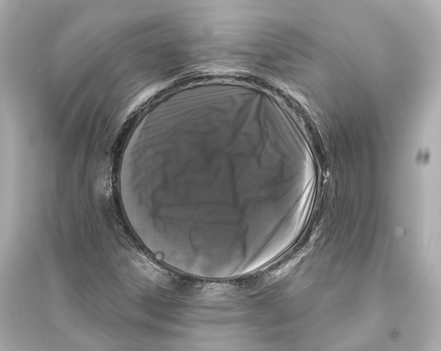 X0000093741306200711131052