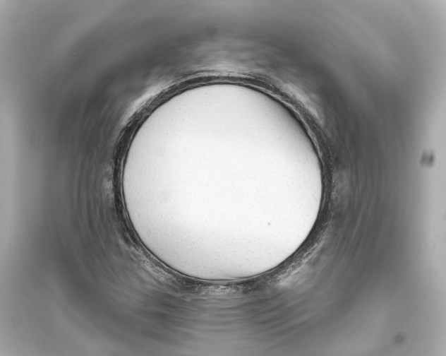 X0000093741307200711131052