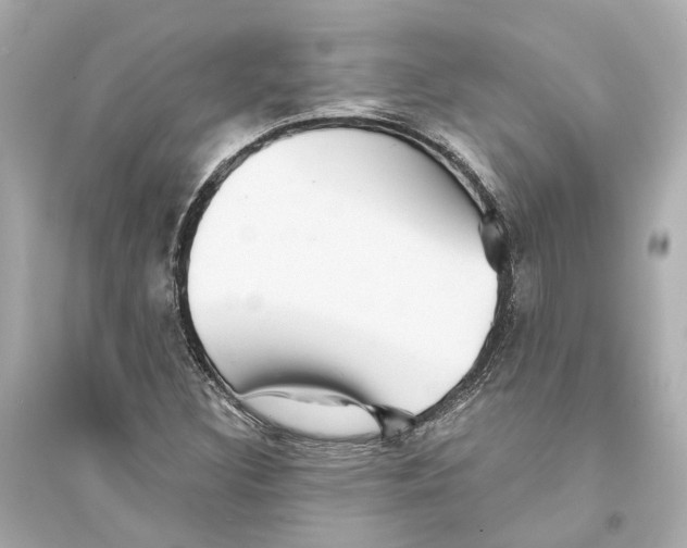 X0000093741308200711131052