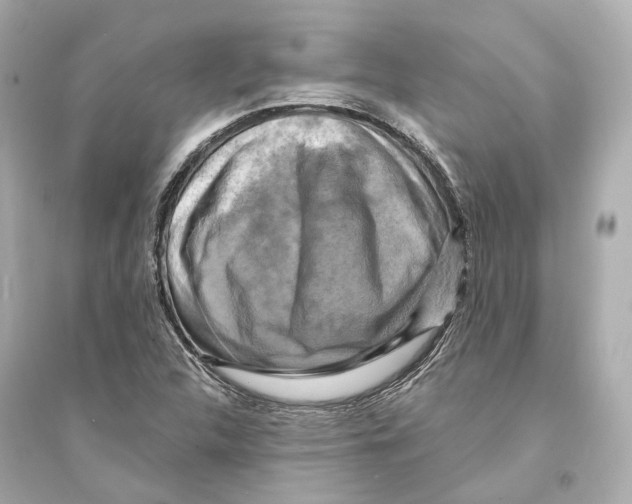 X0000093741312200711131052