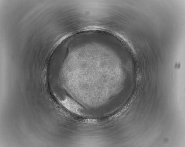X0000093741313200711131052