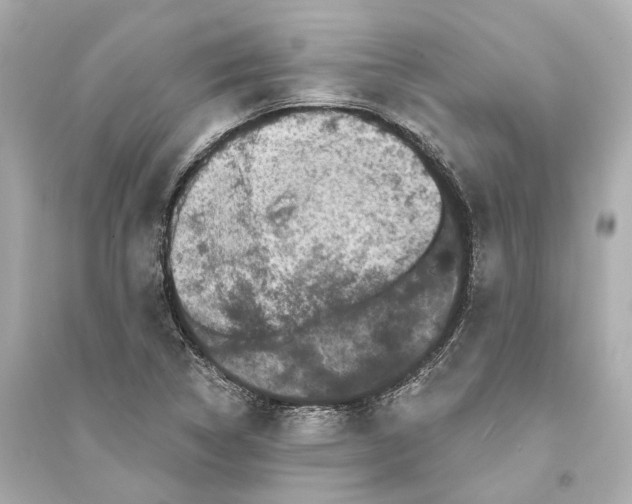 X0000093741314200711131052