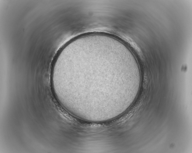 X0000093741316200711131052