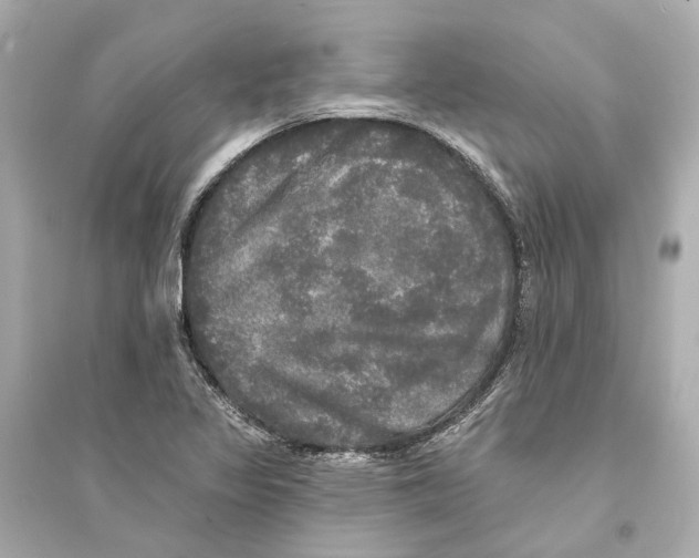 X0000093741317200711131052