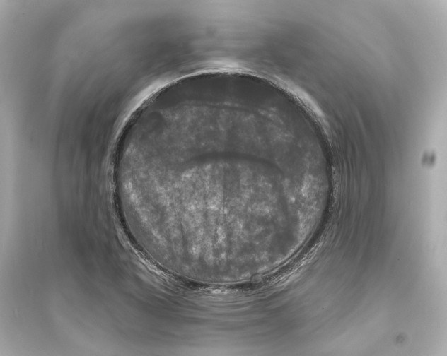 X0000093741318200711131052