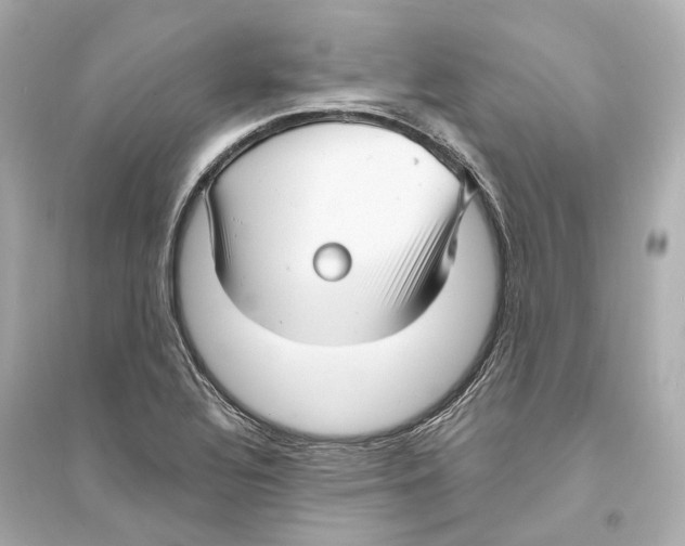 X0000093741320200711131052