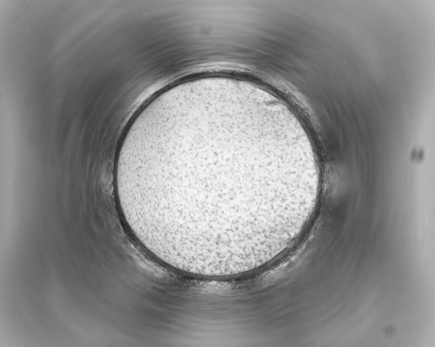 X0000093741321200711131052