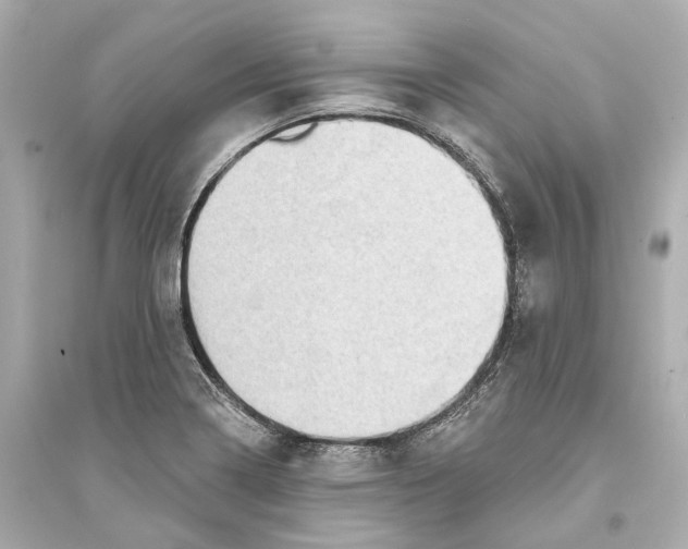 X0000093741322200711131052