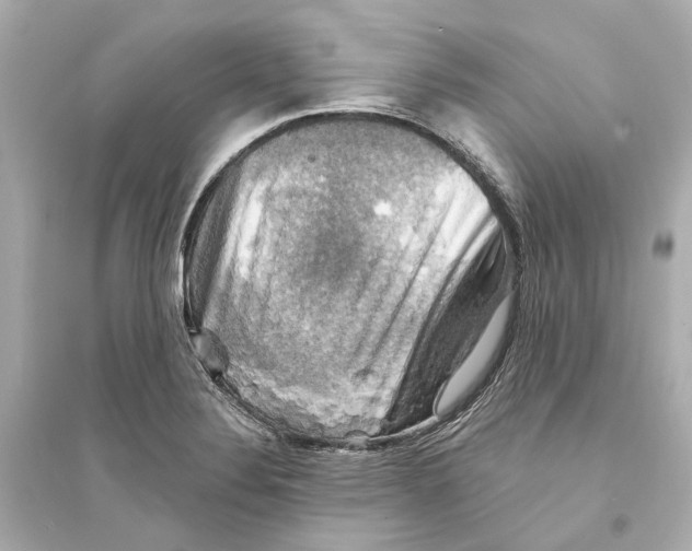 X0000093741324200711131052