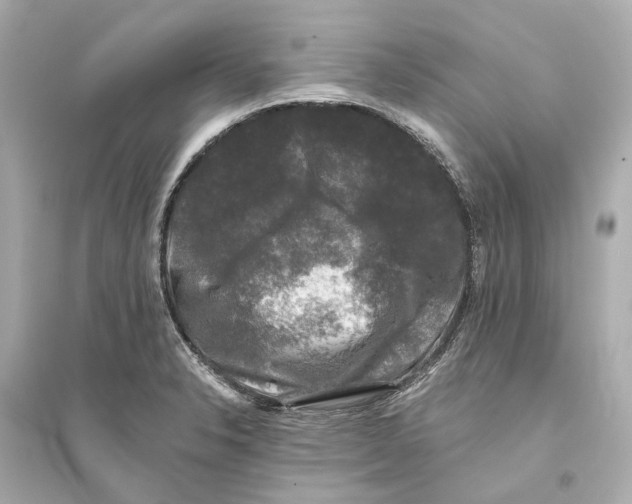 X0000093741326200711131052