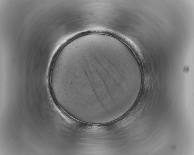 X0000093741327200711131052
