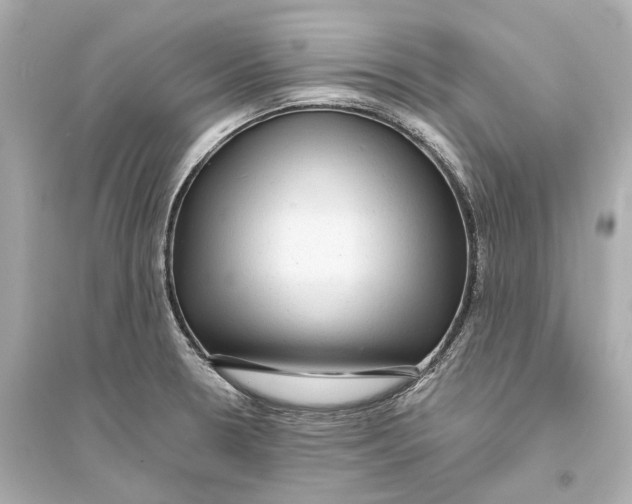X0000093741330200711131052