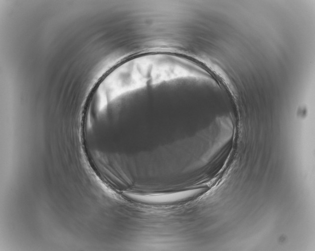 X0000093741333200711131052